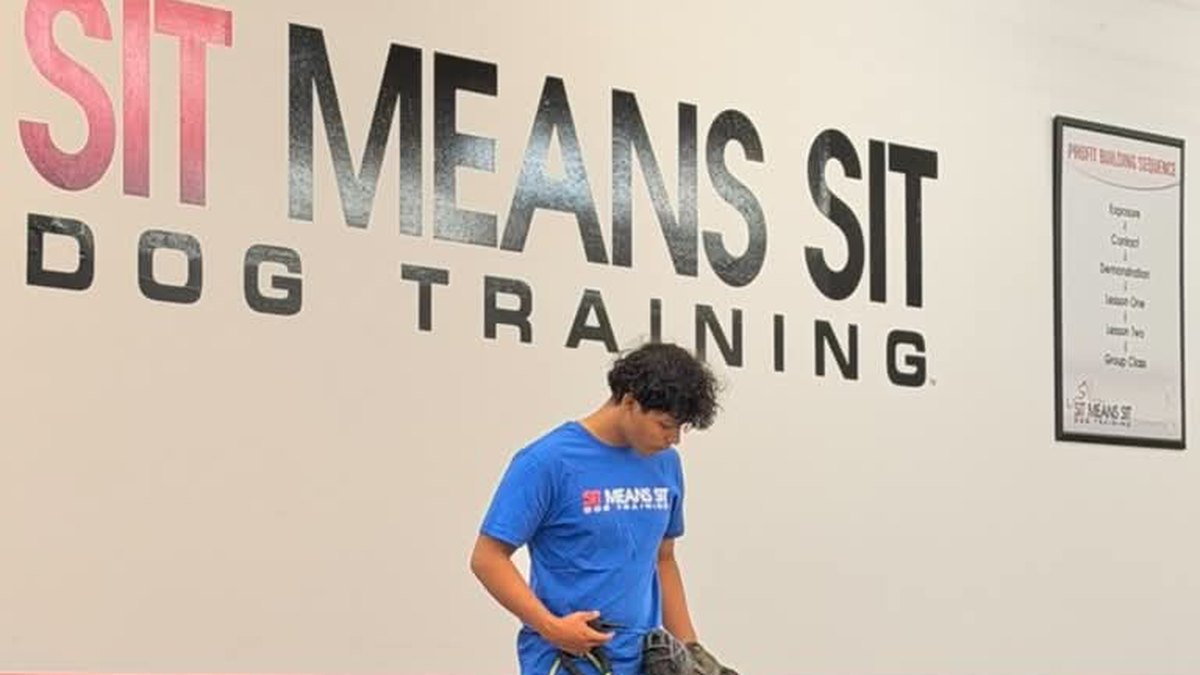 Reactive Rehab Daytrain at Sit Means Sit Reno